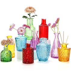 many different colored glass vases with flowers in them on a white background, including pink and purple daisies