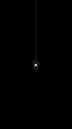 a spider hanging from a web in the middle of a dark room with no one inside