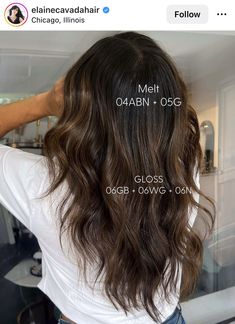 6wg Shades Eq, Brown Formula Shades Eq, Dimensional Brunette Shades Eq Formula, Shades Eq Brown Formulas, Haircolor Formulas