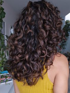 Black Curly Highlights, Dark Balayage Curly Hair, Curly Hair Colour Ideas Natural Curls, Chocolate Balayage Curly Hair, Mocha Brown Curly Hair, Chocolate Highlights On Dark Hair Curly, Curly Lowlights, Wavy Hair Highlights Brunettes