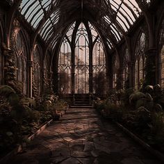 the inside of an old building with lots of windows and plants growing on it's sides