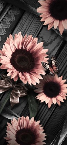 pink sunflowers and a butterfly on a black wooden background with lace, bow and ribbon