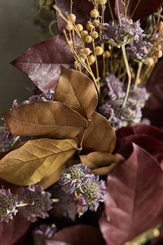 some purple flowers and green leaves on a table