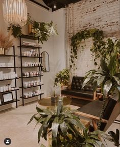 a living room filled with furniture and lots of plants