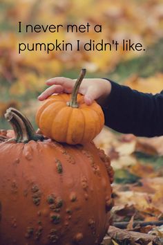 a young child reaching for a pumpkin with the words i never met a pumpkin i didn't like