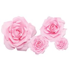 four pink roses on a white background