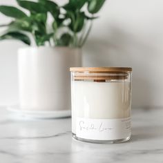 a candle sitting on top of a table next to a potted plant