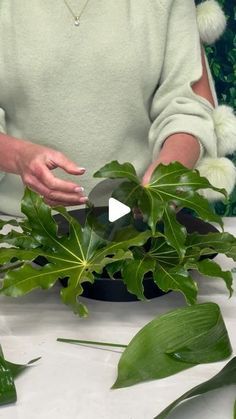 a woman is standing in front of some plants and touching the leaves with her hands