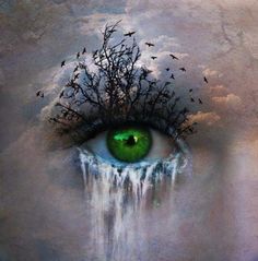 an eye with trees growing out of it and birds flying over the water in the background