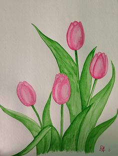 a drawing of pink tulips with green leaves