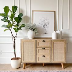 a wooden cabinet sitting next to a potted plant on top of a hard wood floor