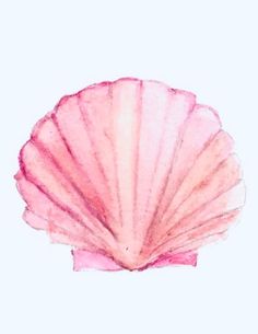 a watercolor painting of a pink shell