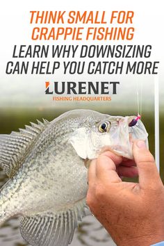 a person holding a fish with the caption think small for crapie fishing learn why downsizing can help you catch more