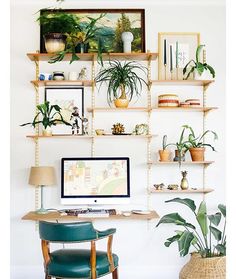 a living room with plants and pictures on the wall above a desk in front of a rug