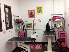 a room with pink and white polka dots on the walls, two salon tables in front of them