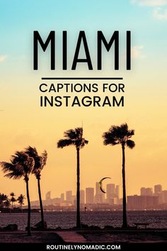 palm trees with the words miami captions for instagramm in front of them