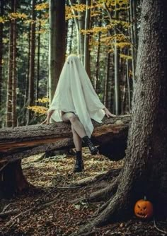 a woman in a white dress is sitting on a fallen tree and has her legs crossed