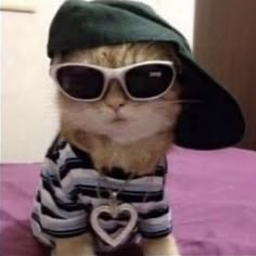 a cat wearing sunglasses and a hat on top of a bed