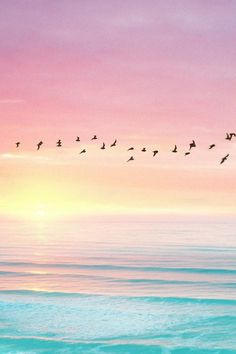 a flock of birds flying over the ocean at sunset or sunrise with pink and blue sky