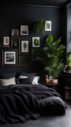 a bedroom with black walls and pictures on the wall, plants in potted pots