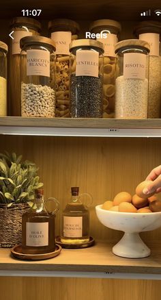 the shelves are filled with different types of spices