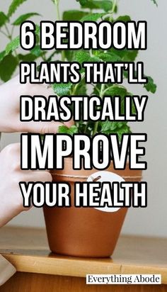 someone is holding a potted plant with the words 6 bedroom plants that'll dramatically improve your health