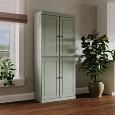 a tall green cabinet next to a potted plant in a room with hardwood floors