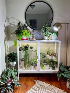 Milsbo Wide Corner Shelf - Maddwoods Ikea Milsbo, Wide Cabinet, Ikea Plants, Ikea Cabinet, Shelf Corner, Moss Pole, Style Shelf, Corner Plant, Indoor Greenhouse