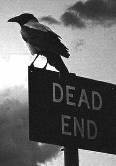 a black and white photo of a bird on top of a sign that reads dead end