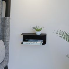 a plant is sitting on top of a shelf