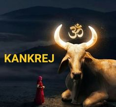 a woman standing next to a cow with the word om shanmakrara written on it