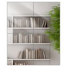 a book shelf with books and a potted plant in front of it, as well as a mirror