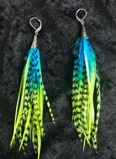 two pairs of green and blue feathers hanging from hooks on a black cloth background,