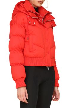 Get ready for cooler temps in this this modern puffer jacket featuring a handy hood and a rib bib for added warmth. The lightweight Thermalpuff insulation and water-resistant shell offer protection from the elements, and the pockets mean easy on-the-go storage. 20 1/2" length Two-way front-zip closure with snap storm placket Fixed hood Front welt pockets Ribbed cuffs and hem Water resistant Lined, with 100% polyester fill 100% polyester Dry clean Imported Sporty Quilted Hooded Puffer Jacket, Functional Down Puffer Jacket With Ribbed Cuffs, Functional Puffer Jacket With Ribbed Cuffs, Functional Puffer Jacket With Ribbed Cuffs For Cold Weather, Sporty Spring Puffer Jacket With Detachable Hood, Sporty Puffer Jacket With Detachable Hood For Spring, Sporty Down Outerwear With Padded Collar, Spring Down Puffer Jacket With Padded Collar, Fitted Puffer Jacket With Padded Collar For Outdoor