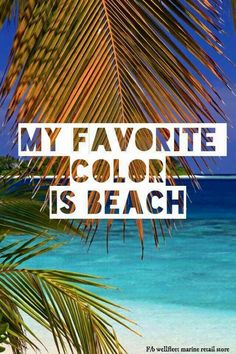 the words my favorite color is beach are in front of a palm tree and blue water