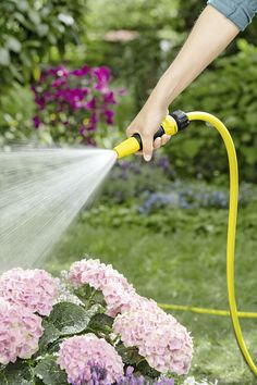 a person is spraying water on some flowers