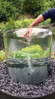 a man is reaching into an aquarium filled with plants and rocks to catch some fish