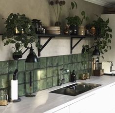 a kitchen with green tiles and potted plants on the shelf above the sink,