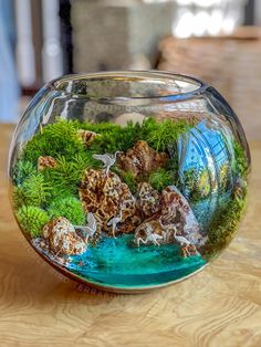 a glass bowl filled with moss and rocks