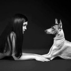 a woman sitting on the floor next to a dog with long hair and wearing a collar