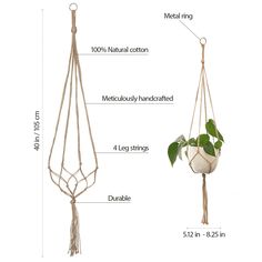 a plant hanging from a rope with measurements