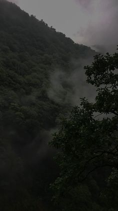 the sun is shining through the foggy trees on the side of a mountain with mountains in the background