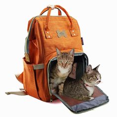 two cats are sitting in an orange backpack