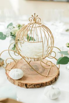 a birdcage is sitting on top of a wooden slice with shells in it