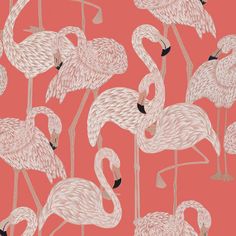 a flock of flamingos standing next to each other on a pink background