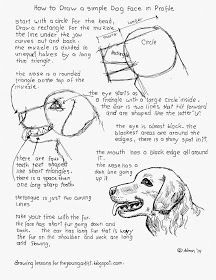 how to draw a dog's face in the style of an old drawing book