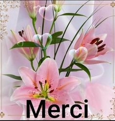 a bouquet of pink flowers with the words merci in front of it and an ornate gold frame