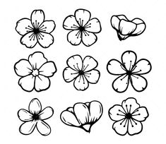 six different flowers drawn in black and white