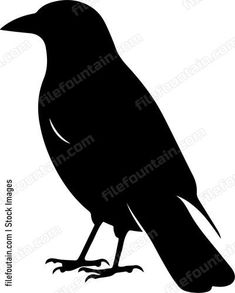 the silhouette of a black bird on a white background