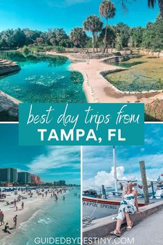 the best day trips from tampa, florida